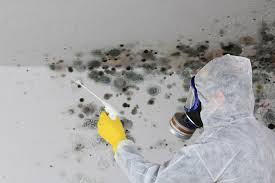 Best Water Damage & Mold Remediation  in Airmont, NY